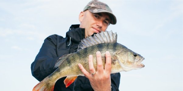 Where to buy a fishing license